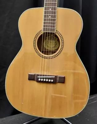 GWL - F10S ACOUSTIC 2