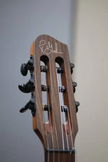 Godin Guitars - MUNDIAL KANYON BURST W/GB 2