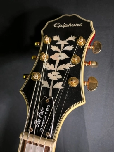Epiphone - EMPPROWRGH 3