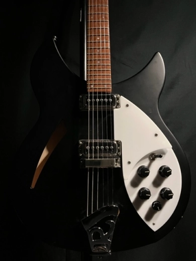 RICKENBACKER 330 MATTE BLACK