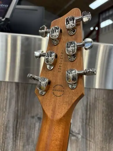 Godin Guitars - G38206 2