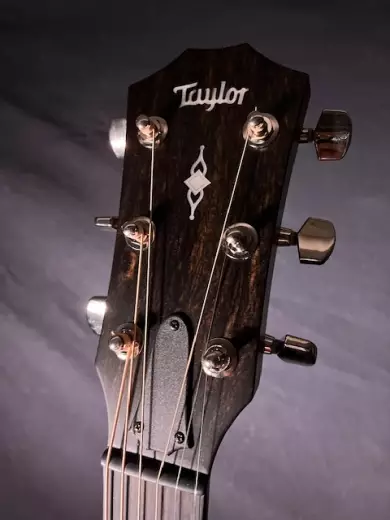 Taylor Guitars - 314CE VCL 2