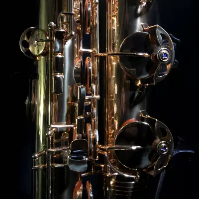 Jupiter JBS1000 Student Baritone Saxophone 2