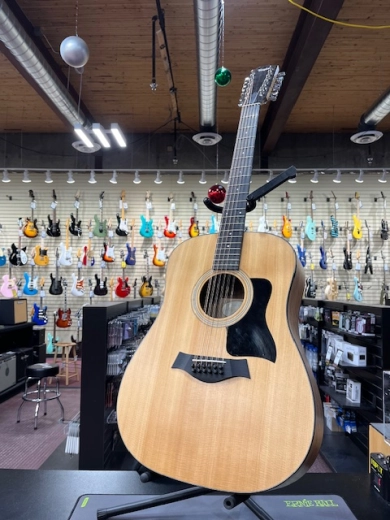 Taylor Guitars - 150E W V2