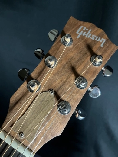 Gibson - ACG00ANNH 2
