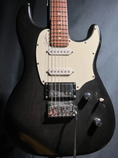 Godin Guitars - G34048