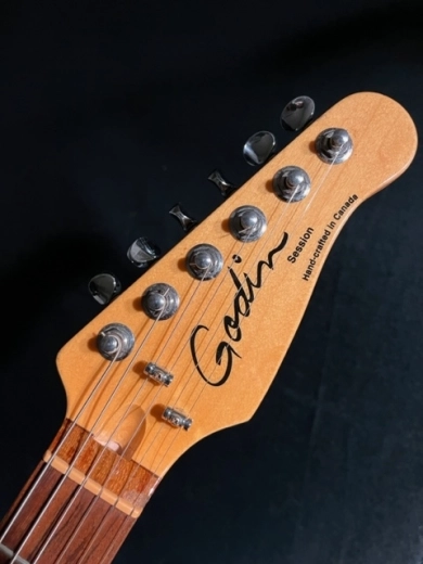 Godin Guitars - G34048 2