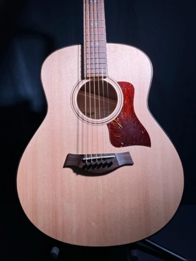 Taylor Guitars - GT URBAN ASH