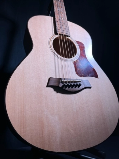 Taylor Guitars - GT URBAN ASH 2