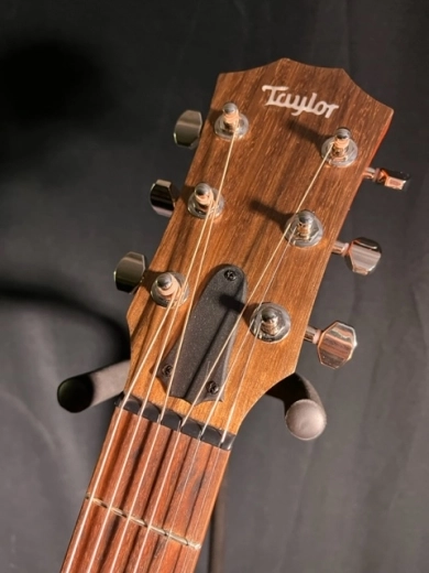 Taylor Guitars - GT URBAN ASH 2