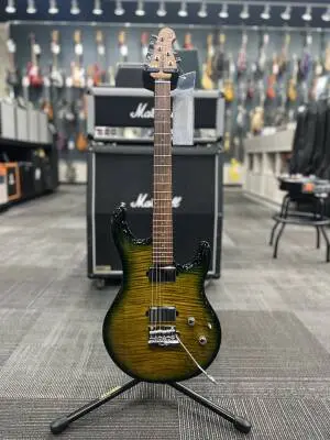 Ernie Ball Music Man Luke 4 HH - Gator Burst 2