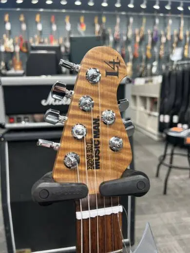 Ernie Ball Music Man Luke 4 HH - Gator Burst 2