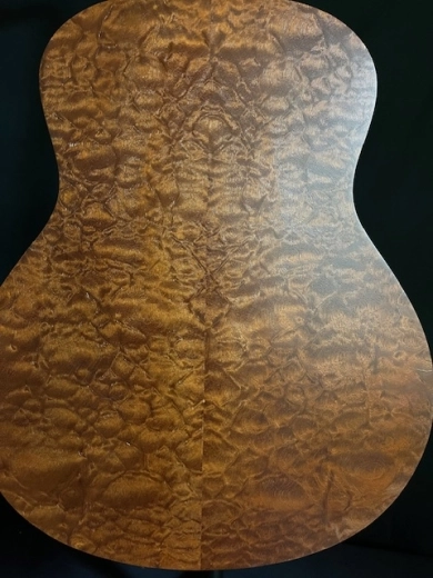 Taylor Guitars - GS MINI-E QSLTD 2