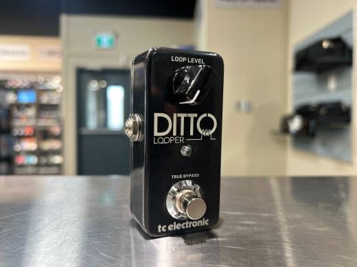 Gear Hunter | TC Electronic Ditto Looper