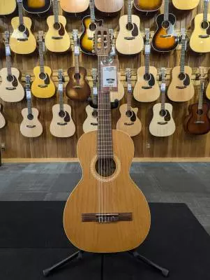 Art & Lutherie Ami Wild Cherry 2