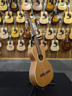 Art & Lutherie Ami Wild Cherry