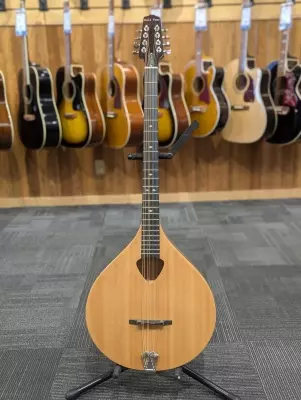 BZ-500 Irish Bouzouki w/ Case
