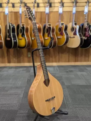 BZ-500 Irish Bouzouki w/ Case 2