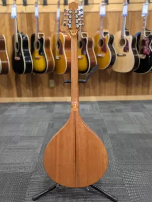 BZ-500 Irish Bouzouki w/ Case 2