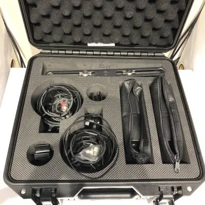 Warm Audio - WA14-SP 2