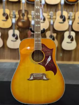 Dove Studio Acoustic Electric - Violin Burst 2