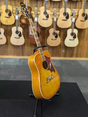 Dove Studio Acoustic Electric - Violin Burst 2