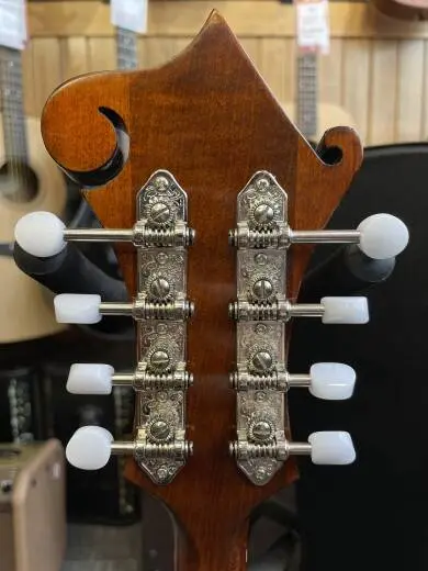 Eastman F-Style Mandolin with Solid Spruce Top and Solid Maple Back and Sides w/ case 2