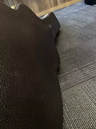 314ce Studio Sitka/Sapele Acoustic-Electric Guitar - Natural 2