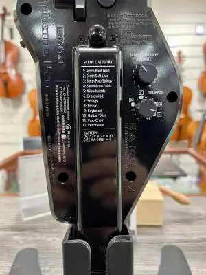 Roland - AE-30 - Ditigal Wind Instrument 2