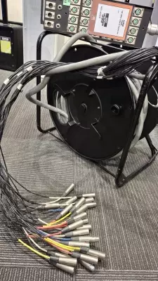 Alden 100 24-Channel XLR Snake