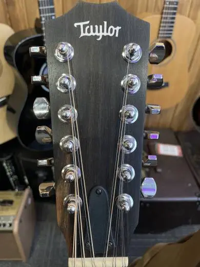 Taylor Guitars - 150E W V2 2