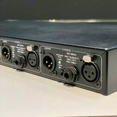 dbx 1074 Quad Gate 2