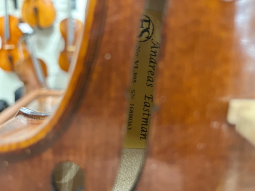 Gear Hunter | Eastman - VL305LM 4/4 OF - Intermediate Violin Gear Hunter | Eastman - VL305LM 4/4 OF - Intermediate Violin