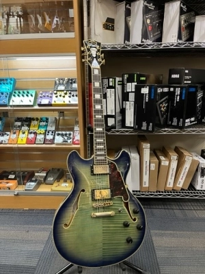 D'Angelico Excel DC Blue Burst
