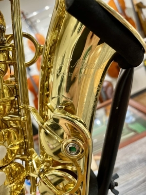 B&S 3239/GL 'MEDUSA' Pro Alto Sax 3