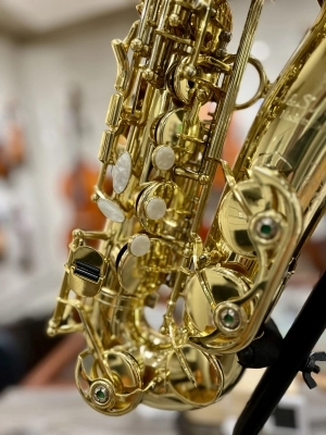 B&S 3239/GL 'MEDUSA' Pro Alto Sax 4