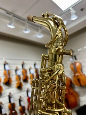 B&S 3239/GL 'MEDUSA' Pro Alto Sax 6