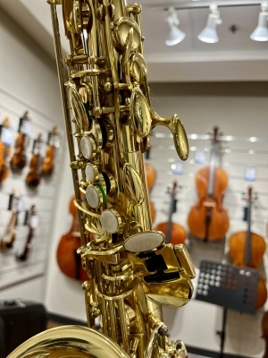 B&S 3239/GL 'MEDUSA' Pro Alto Sax 8