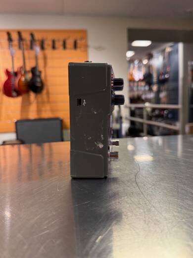 ギター EVENTIDE ROSE Rose | Modulated Delay Effects Pedal | Eventide Audio