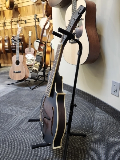 Gold Tone Manditar(w/pickup) 3