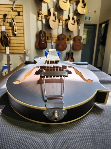 Gold Tone Manditar(w/pickup) 5