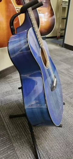 Breedlove Concert Blue Eyes CE Myrtlewood 2