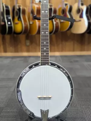 BG-250 Bluegrass Special Banjo 2