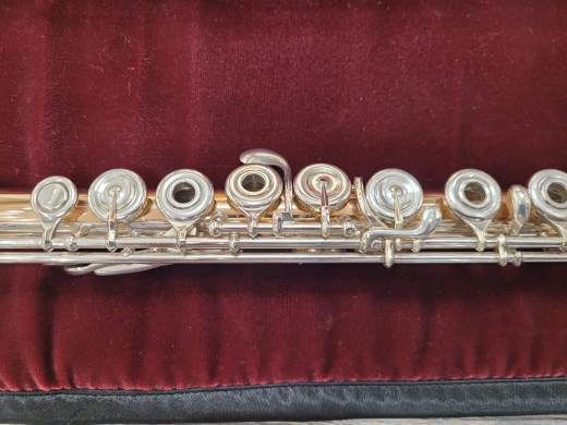 Powell Conservatory 9K Aurumite Flute 5