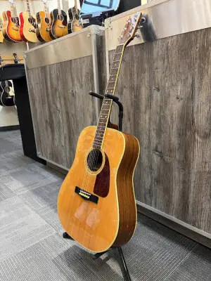 Fender - F-250 Dreadnaught Vintage Acoustic Guitar 2