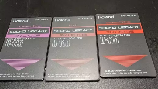 Roland - U-110 w/3 Cards 2