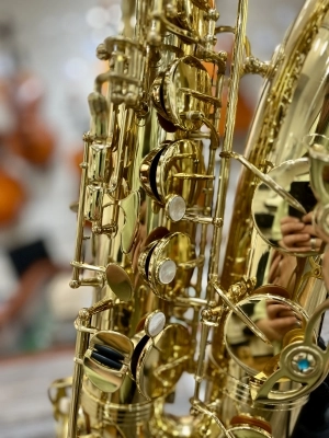 Yanagisawa T-WO1 Tenor Saxophone 2