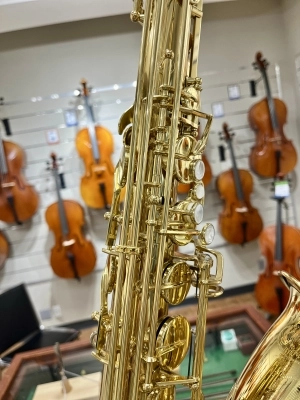 Yanagisawa T-WO1 Tenor Saxophone 2