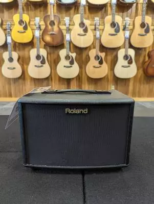 AC-33 Acoustic Chorus Guitar Amplifier