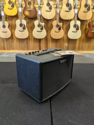 AC-33 Acoustic Chorus Guitar Amplifier 2